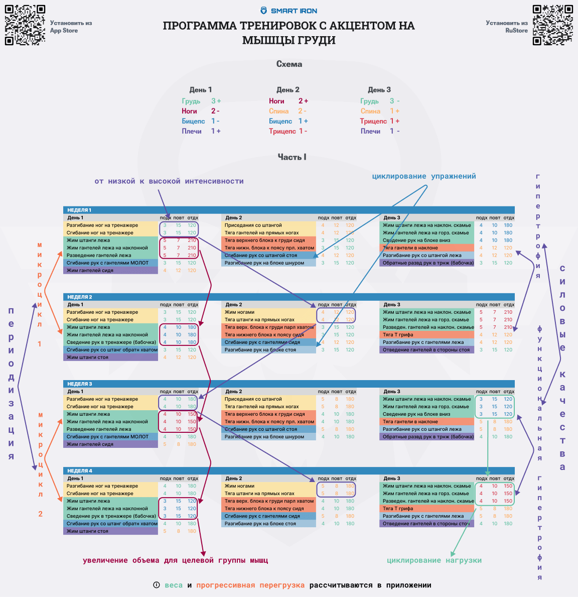 План тренировок на грудь